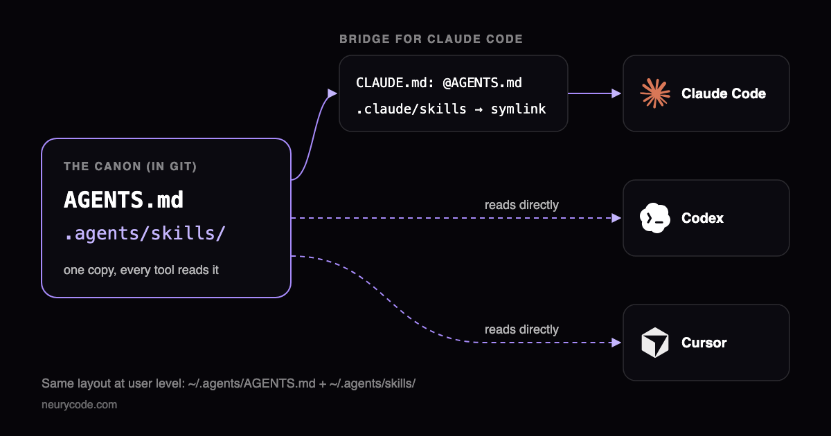 Diagram: the canon (AGENTS.md and .agents/skills) is read directly by Codex and Cursor, and by Claude Code through a CLAUDE.md import and a .claude/skills symlink